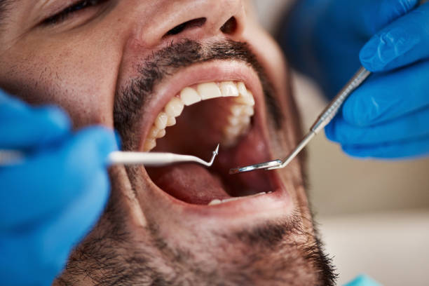 Best Emergency Orthodontic Repairs in Wolfe City, TX