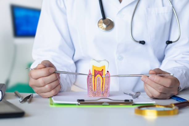 Best Emergency Cosmetic Dentistry (e.g., broken veneers) in Wolfe City, TX